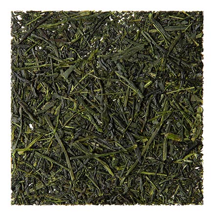 Fukamushi Sencha