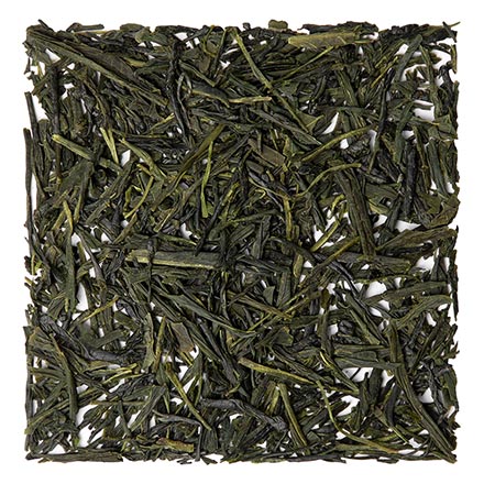 Sencha