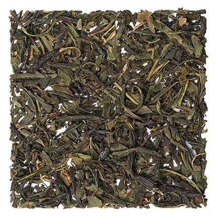 GABA Tea