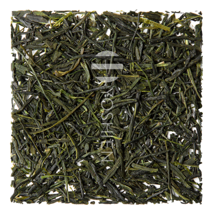 Shincha Chiran Yabukita bio