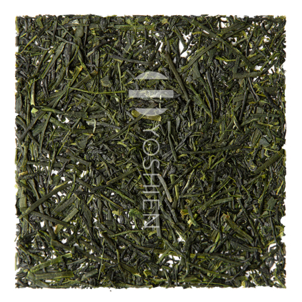 Fukamushi Sencha Chiran Kanayamidori Bio