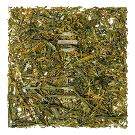 Sencha Hoshino Hakusei