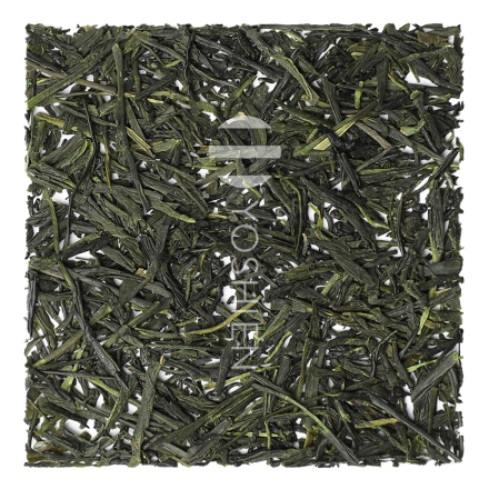 Sencha High Catechine | EGCG Bio