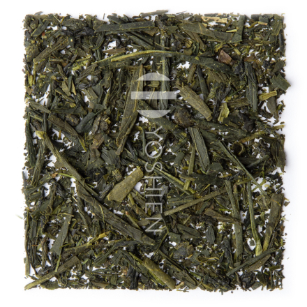 Sencha Yame bio