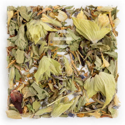 Tisane Good Night Valériane, Phyto Harmonie bio