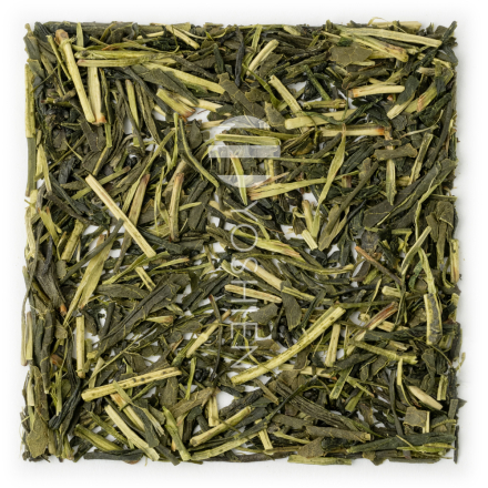 Sencha Karigane Niikawa Bio