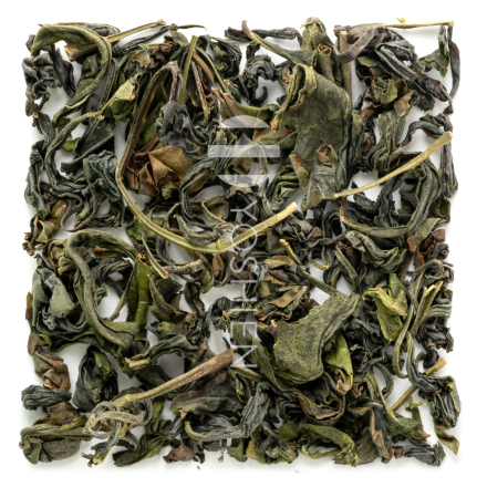 Spring Oolong Koshun