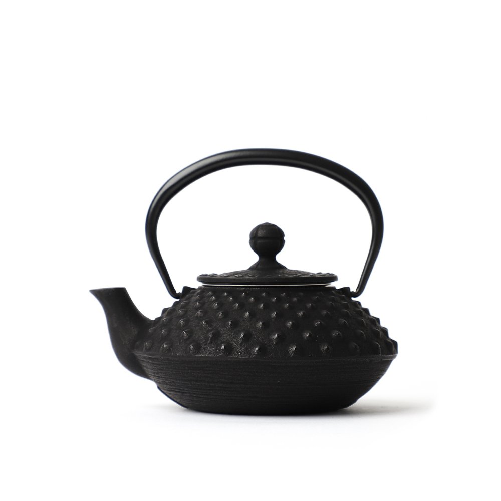 Iwachu Cast Iron Tea Kettle