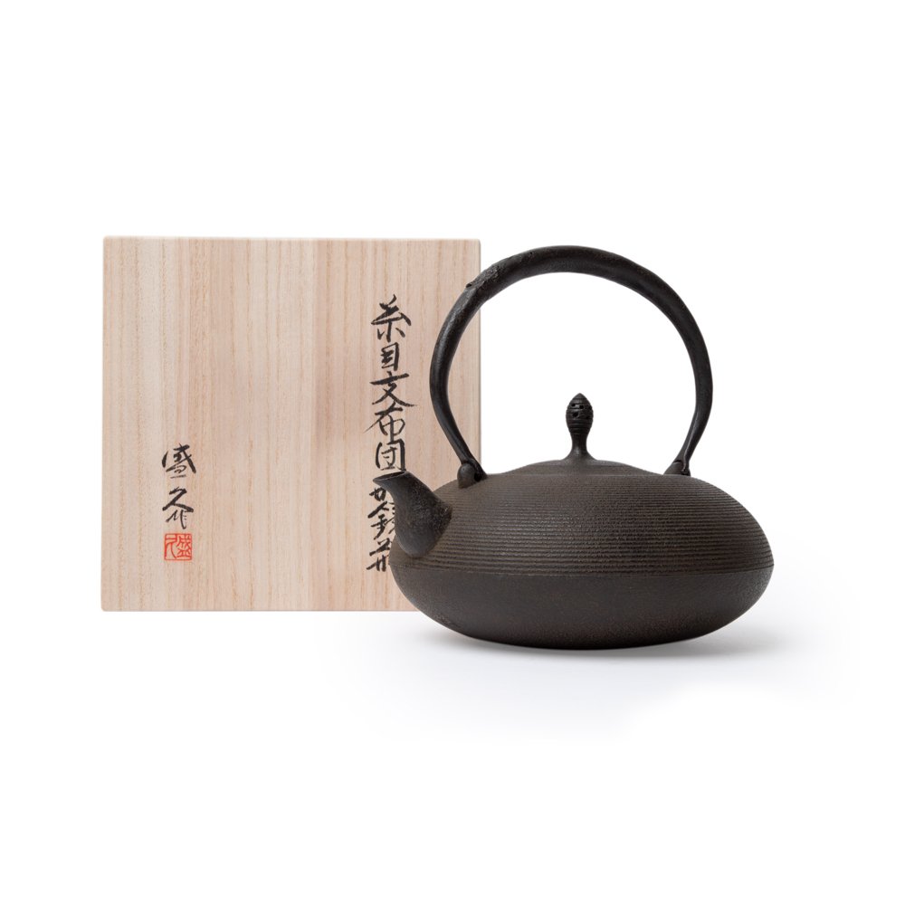 Japanese Cast Iron Teapot Vtg Kyusu Tetsubin Kettle Flower Nanbu
