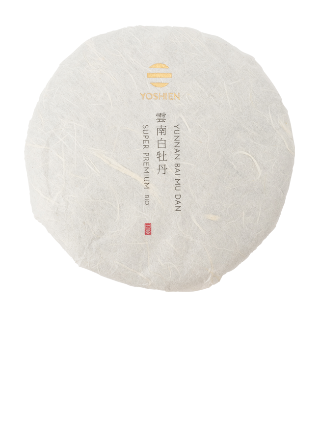 Aged Bai Mu Dan <br> 2021 Yunnan Bio